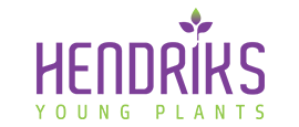 Hendriks