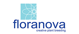 floranova